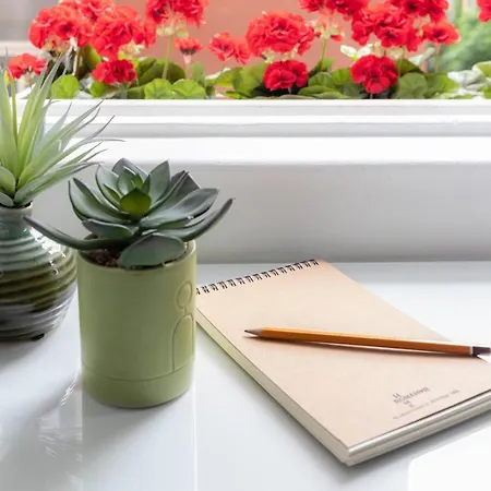 公寓 Romamor 罗马