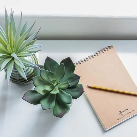 公寓 Romamor 罗马